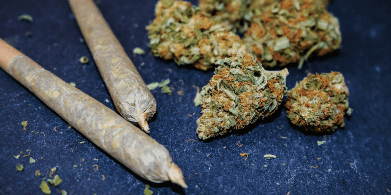 Marijuana Prosecution Declines in Denton